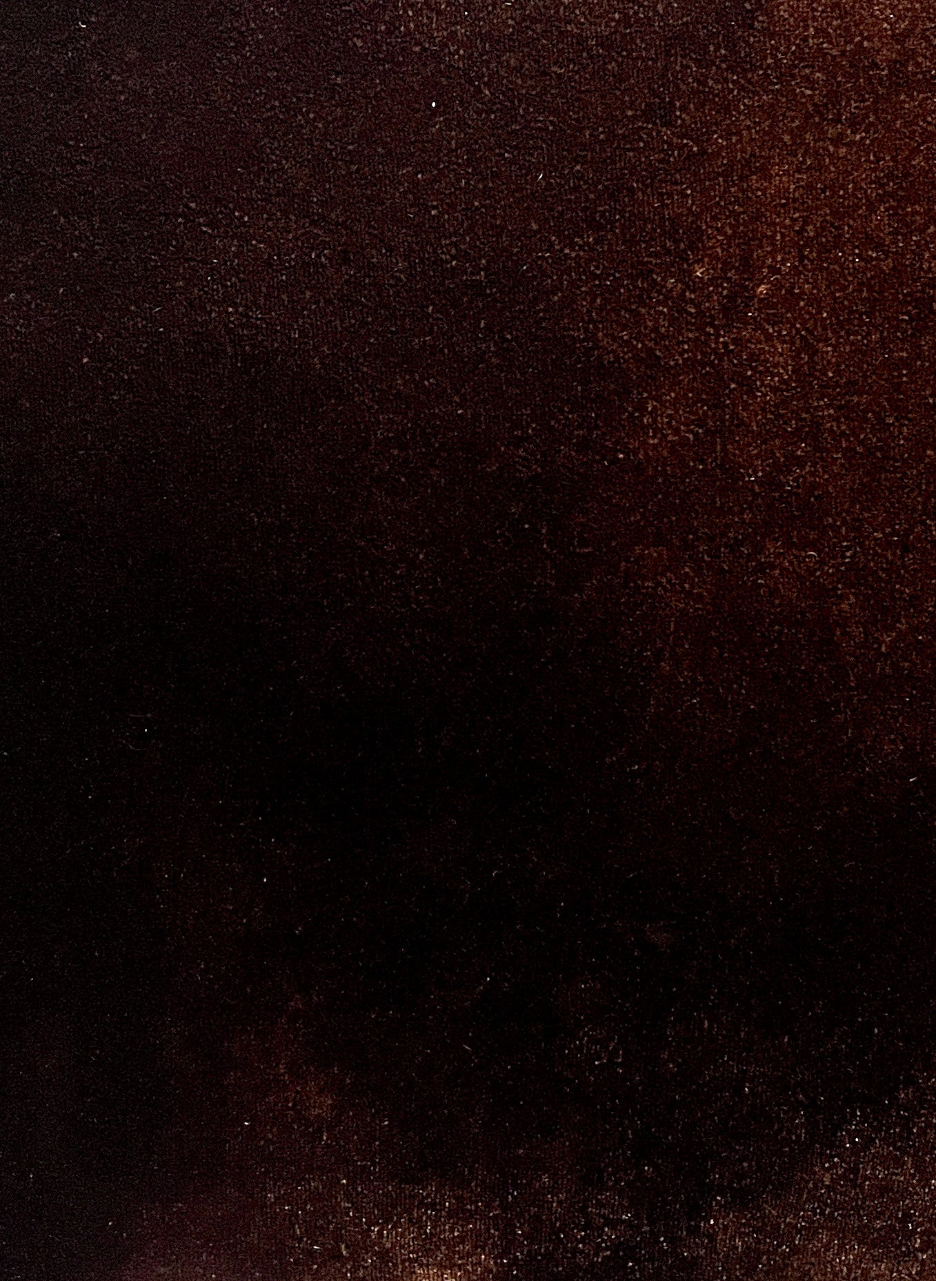 Brown velvet corssbody bag